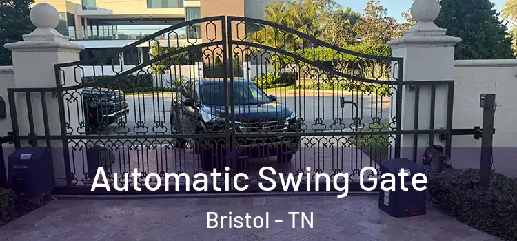  Automatic Swing Gate Bristol - TN