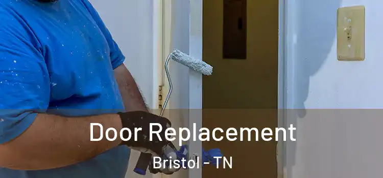  Door Replacement Bristol - TN
