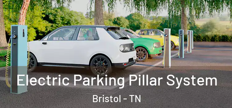  Electric Parking Pillar System Bristol - TN