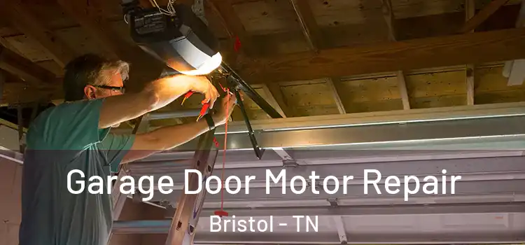  Garage Door Motor Repair Bristol - TN