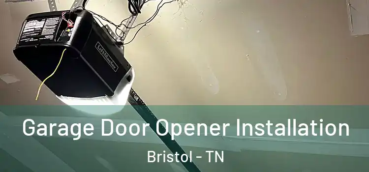  Garage Door Opener Installation Bristol - TN
