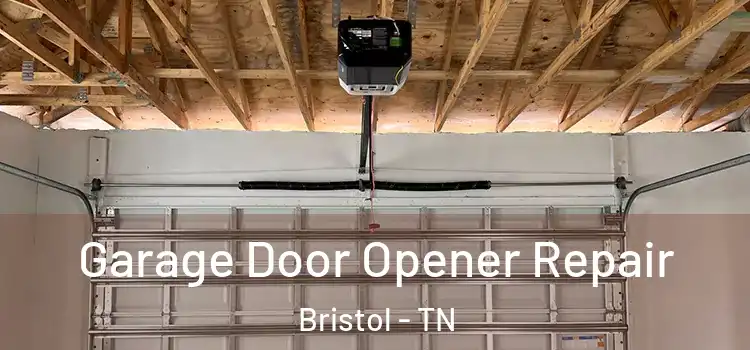  Garage Door Opener Repair Bristol - TN