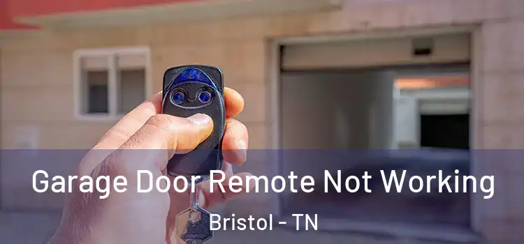  Garage Door Remote Not Working Bristol - TN