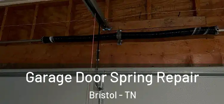  Garage Door Spring Repair Bristol - TN