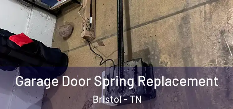  Garage Door Spring Replacement Bristol - TN