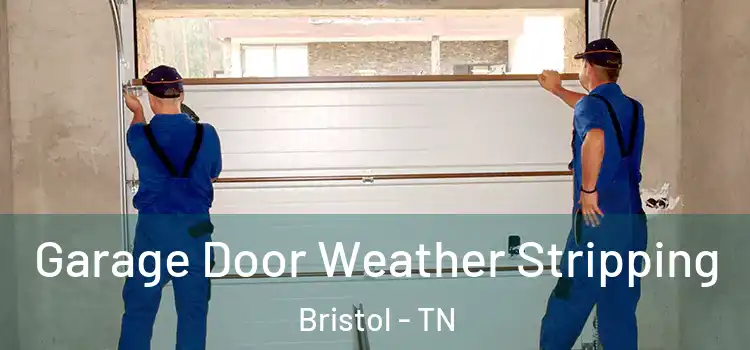  Garage Door Weather Stripping Bristol - TN