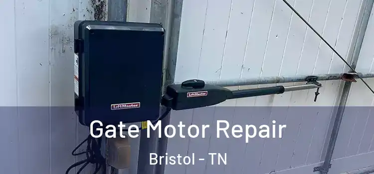  Gate Motor Repair Bristol - TN