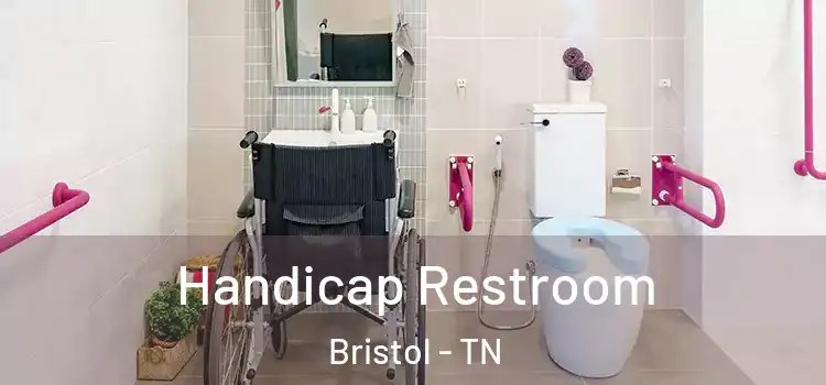  Handicap Restroom Bristol - TN