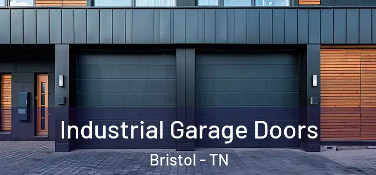  Industrial Garage Doors Bristol - TN