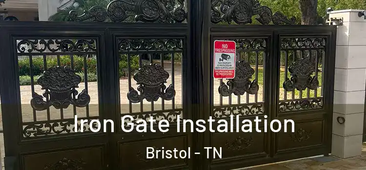 Iron Gate Installation Bristol - TN