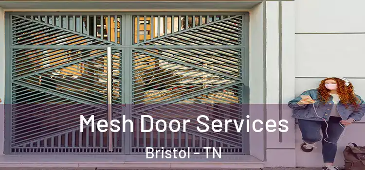 Mesh Door Services Bristol - TN