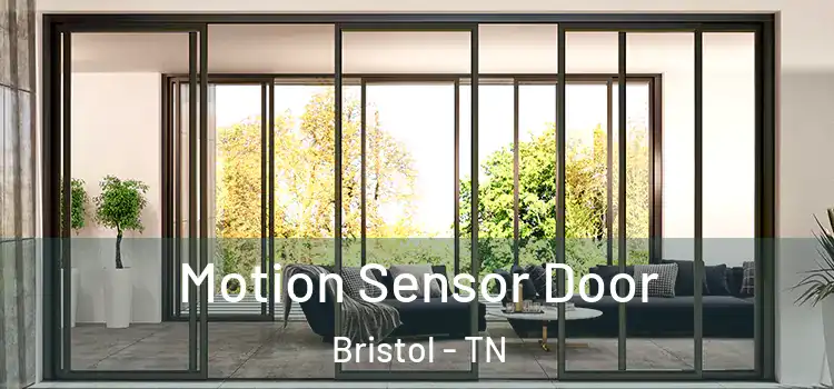  Motion Sensor Door Bristol - TN