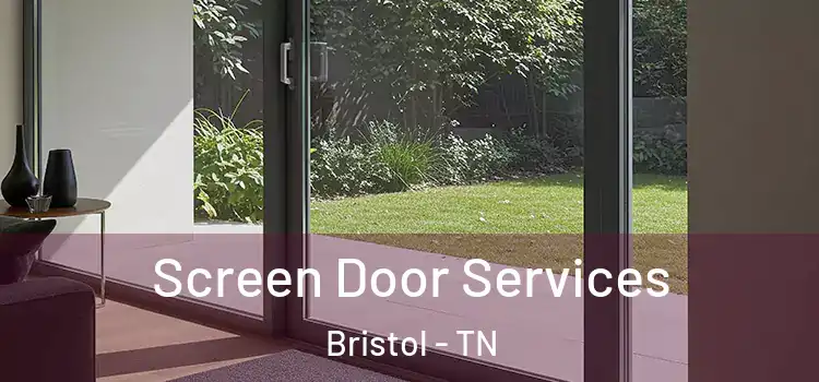  Screen Door Services Bristol - TN