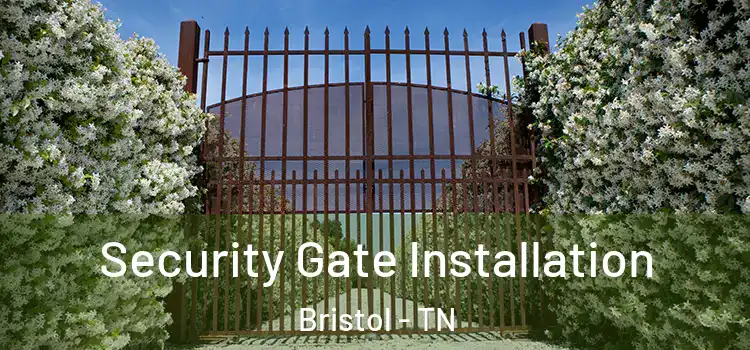  Security Gate Installation Bristol - TN