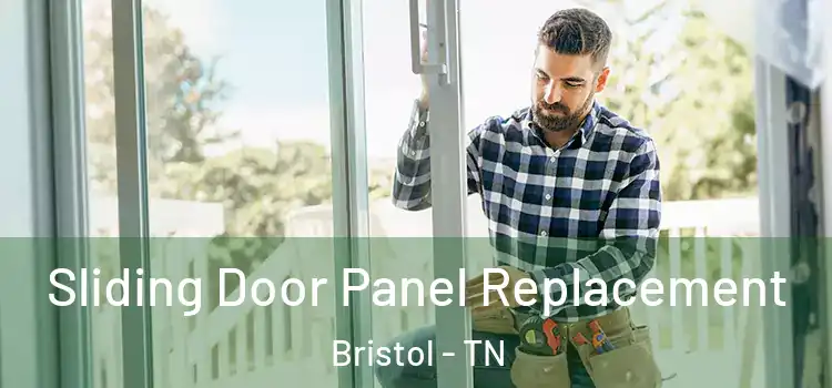  Sliding Door Panel Replacement Bristol - TN