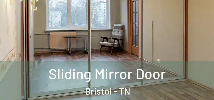  Sliding Mirror Door Bristol - TN