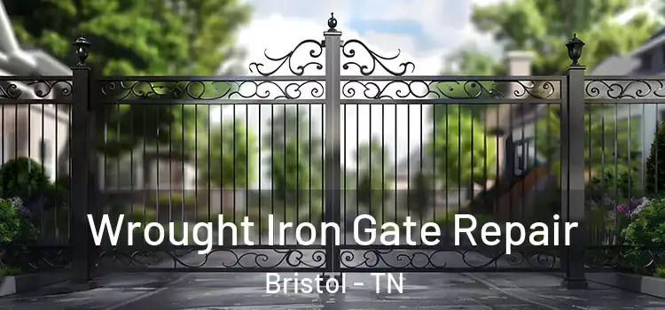  Wrought Iron Gate Repair Bristol - TN
